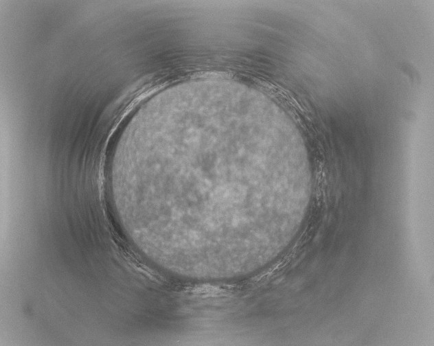 X0000115580290200912221054