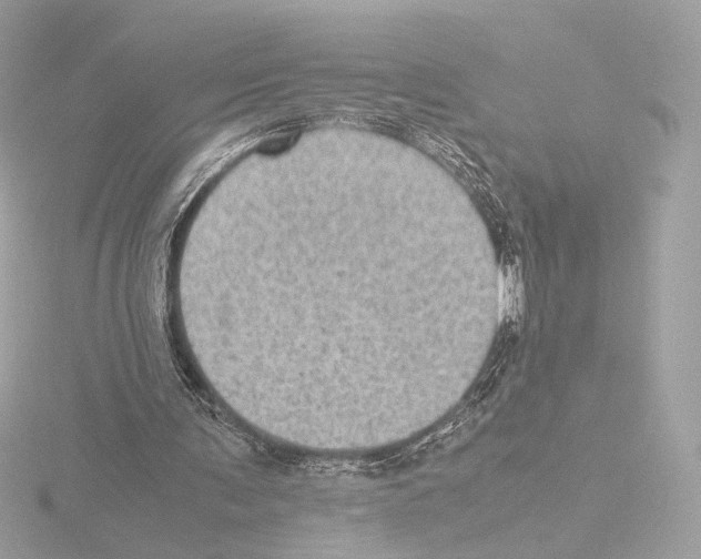 X0000115580291200912221054