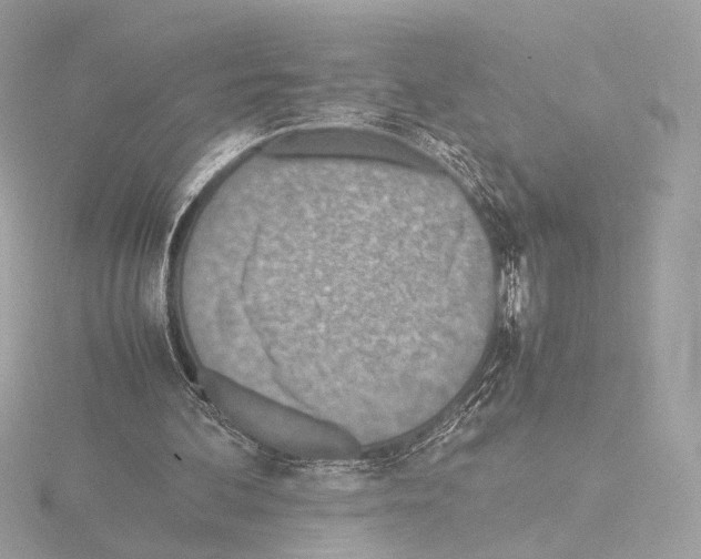 X0000115580292200912221054