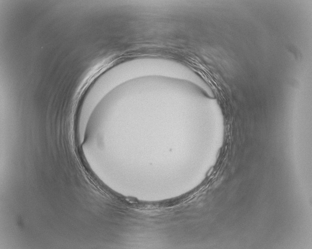 X0000115580293200912221054