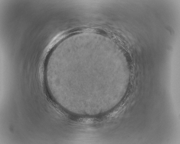 X0000115580295200912221054