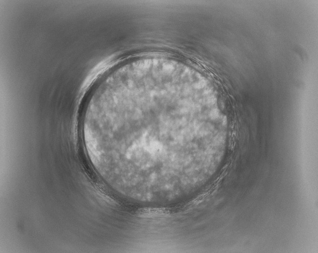 X0000115580296200912221054