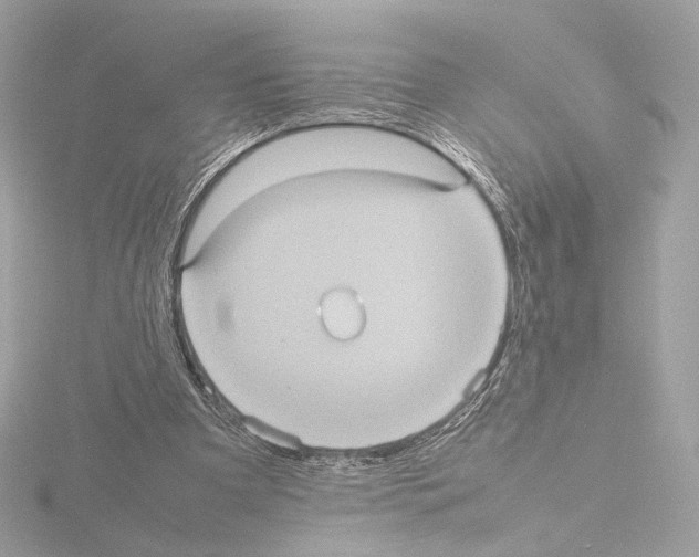 X0000115580297200912221054