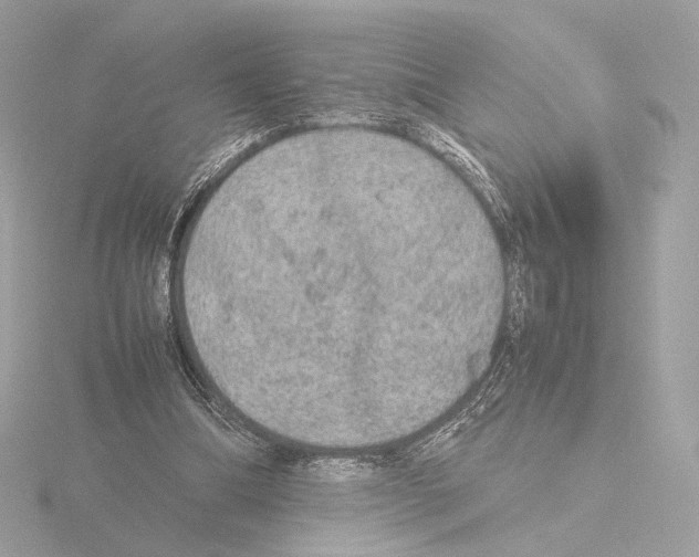 X0000115580298200912221054