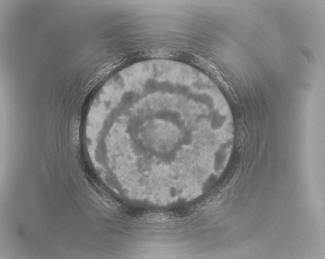 X0000115580299200912221054