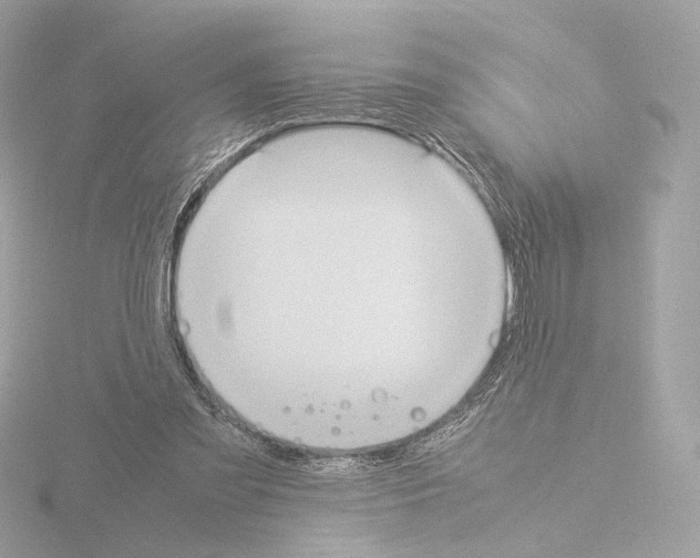 X0000115580301200912221054