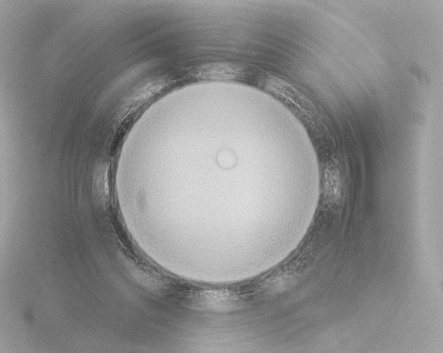 X0000115580302200912221054