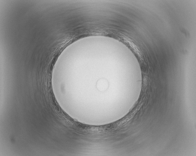 X0000115580305200912221054