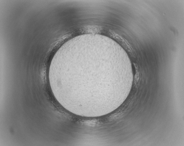 X0000115580306200912221054