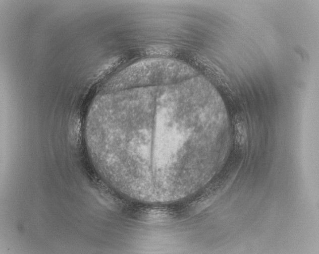 X0000115580308200912221054