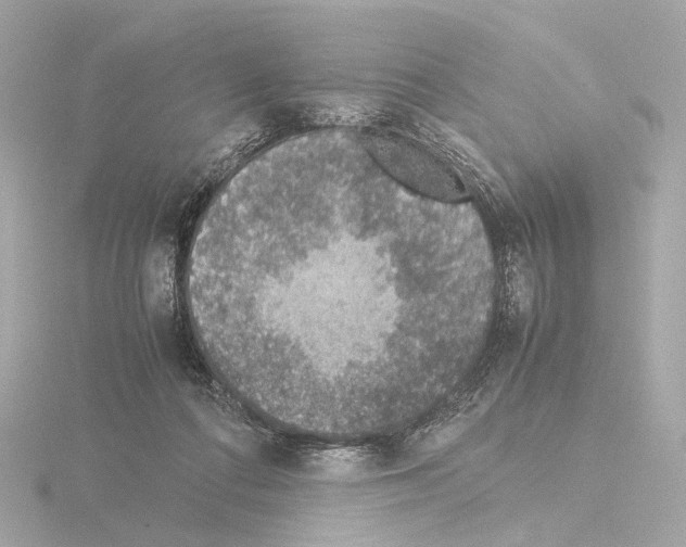 X0000115580312200912221054