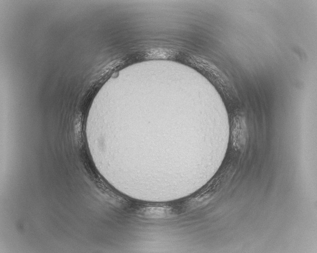 X0000115580314200912221054