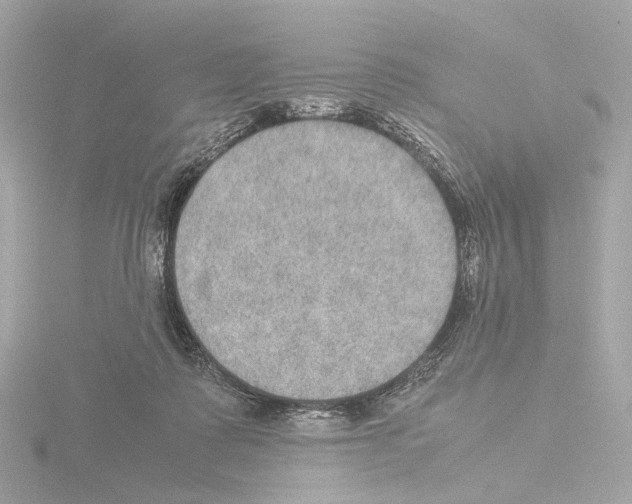 X0000115580315200912221054