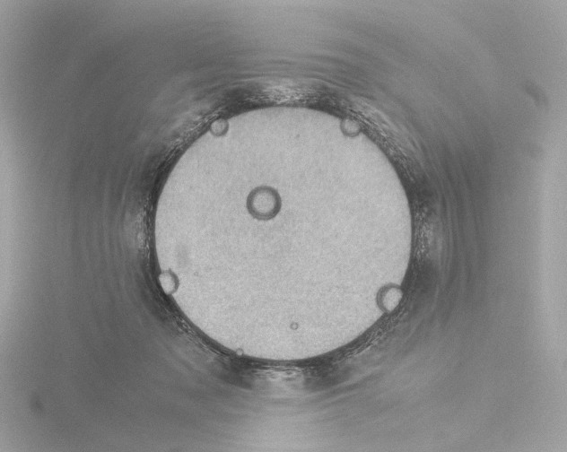 X0000115580317200912221054