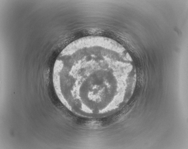 X0000115580319200912221054