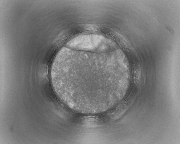 X0000115580320200912221054