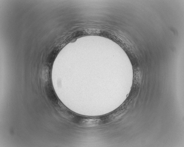 X0000115580323200912221054