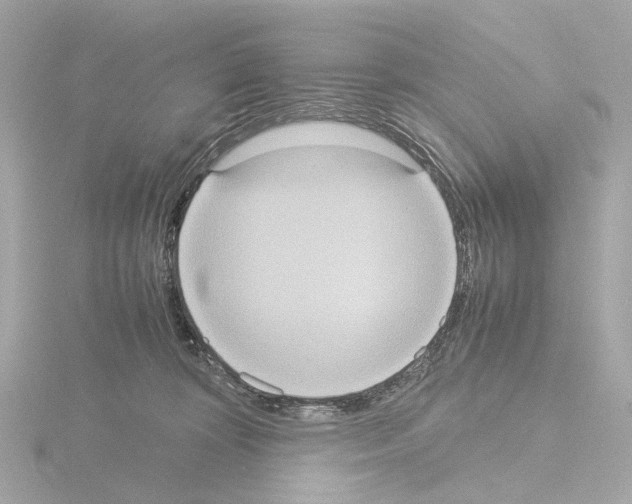 X0000115580324200912221054