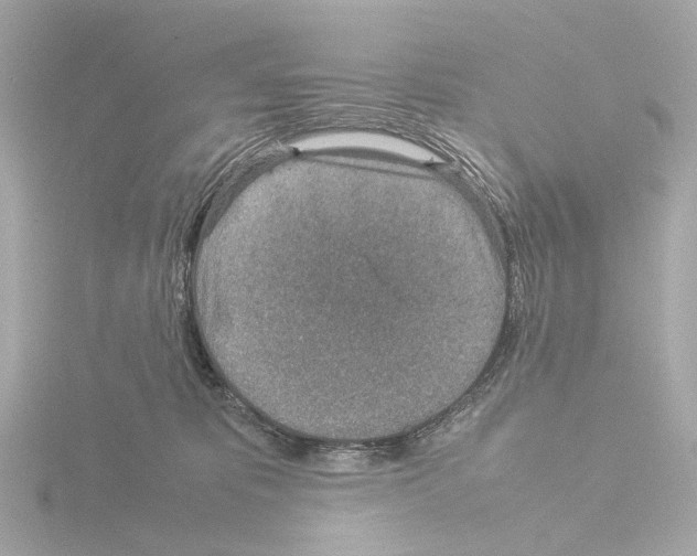 X0000115580325200912221054