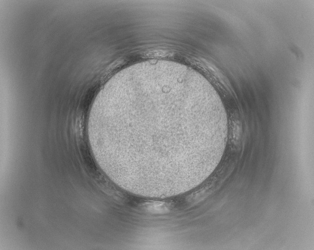 X0000115580326200912221054