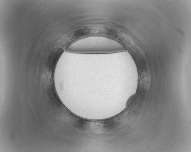 X0000115580327200912221054