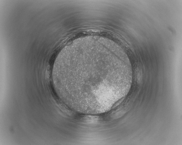 X0000115580328200912221054