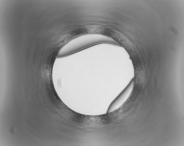 X0000115580329200912221054