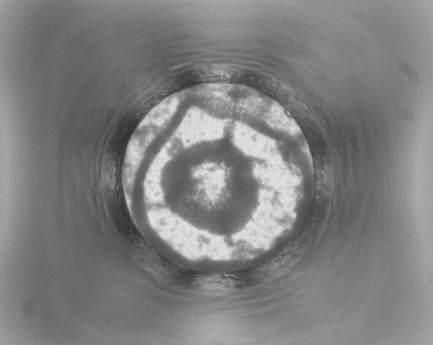 X0000115580331200912221054