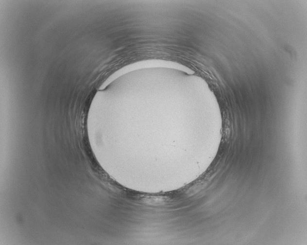 X0000115580332200912221054