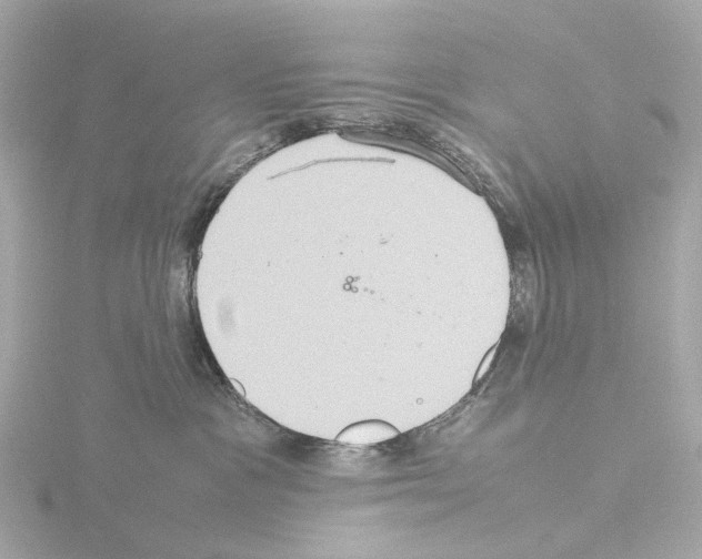 X0000115580333200912221054