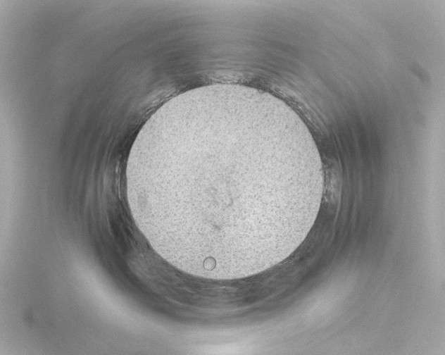 X0000115580334200912221054