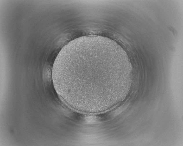 X0000115580336200912221054