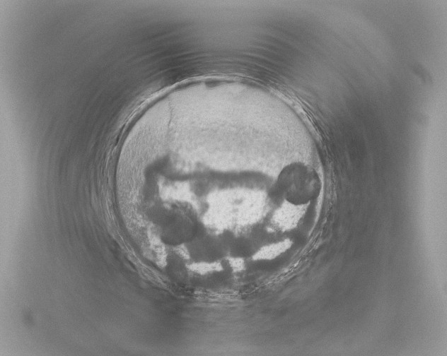 X0000115580337200912221053