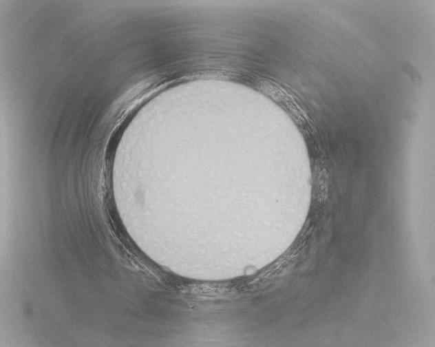 X0000115580338200912221053