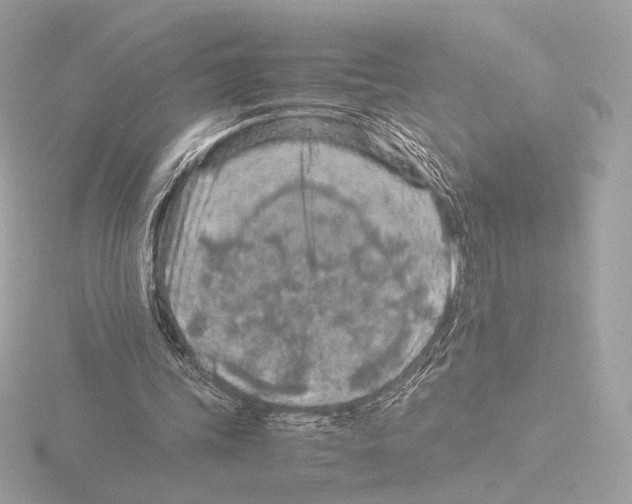 X0000115580339200912221053