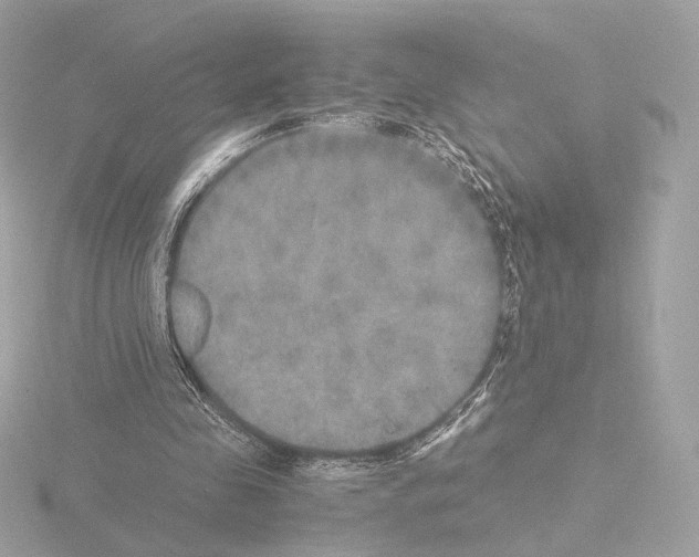 X0000115580341200912221053