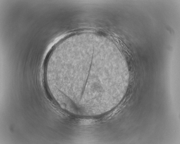 X0000115580342200912221053