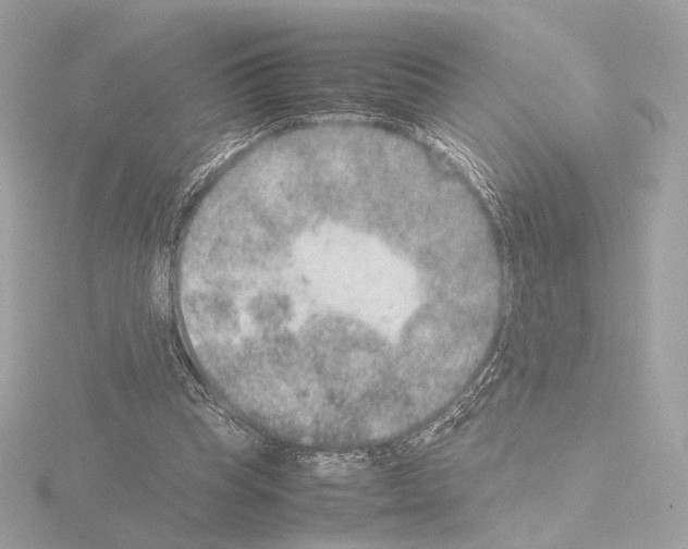 X0000115580345200912221053