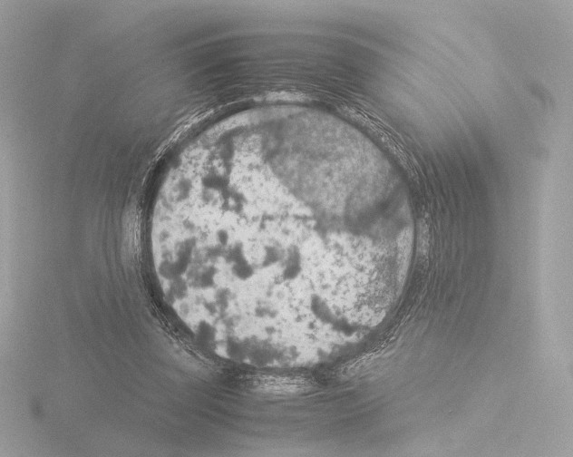 X0000115580347200912221053