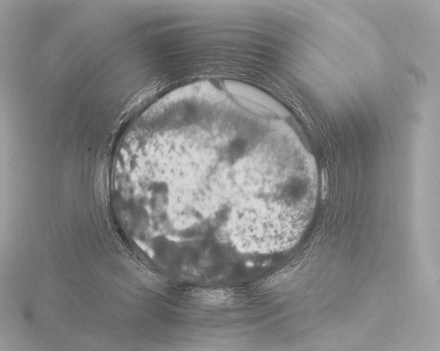 X0000115580349200912221053