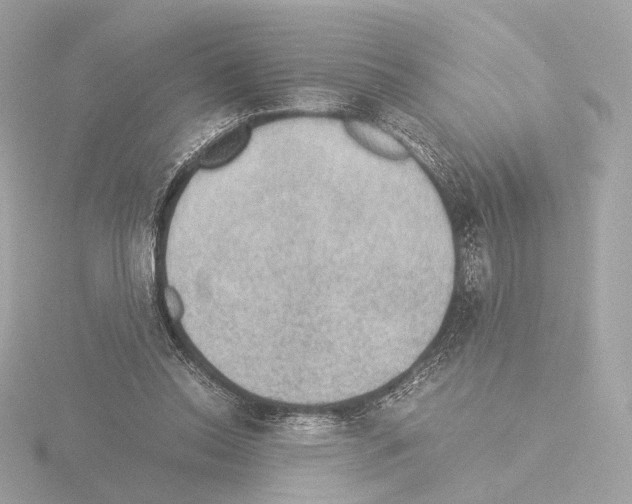 X0000115580350200912221053