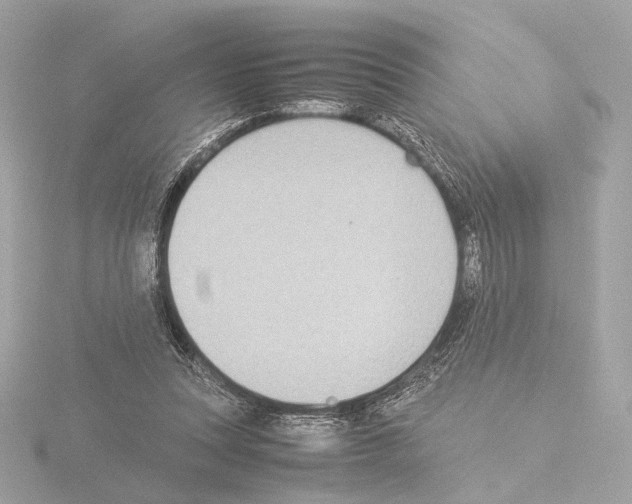 X0000115580351200912221053