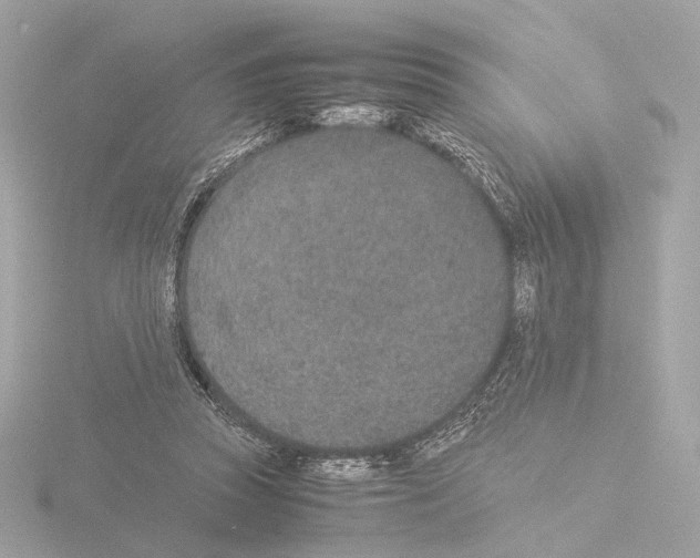 X0000115580353200912221053