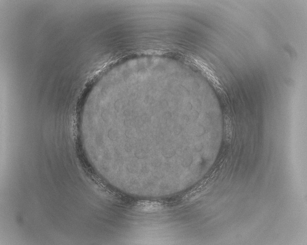 X0000115580354200912221053