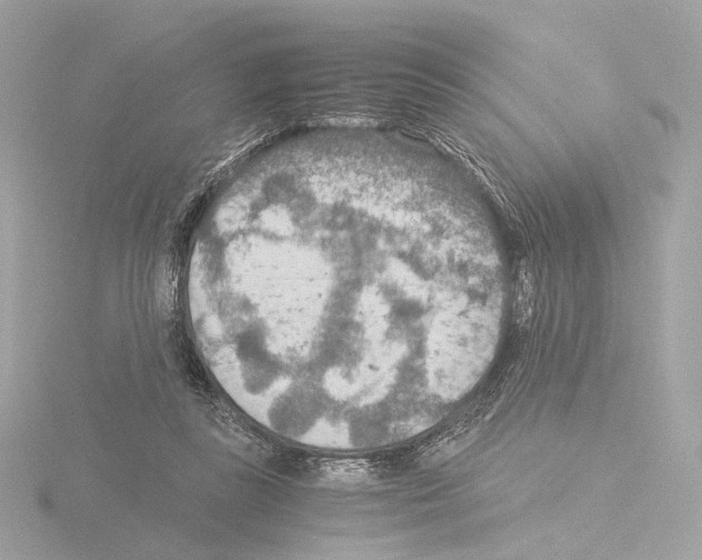 X0000115580355200912221053