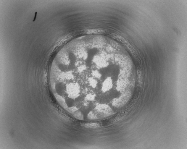 X0000115580357200912221053