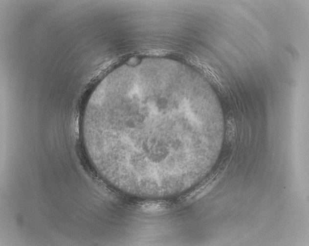 X0000115580358200912221053