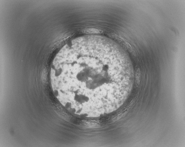 X0000115580359200912221053