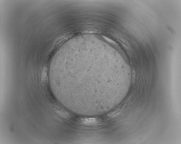 X0000115580361200912221053