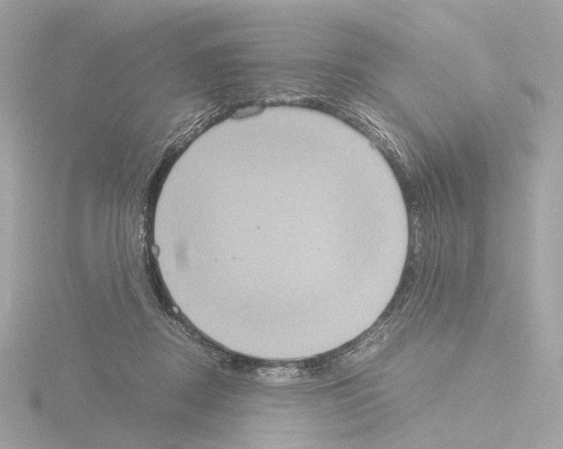 X0000115580362200912221053